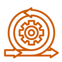 Agile Program Management